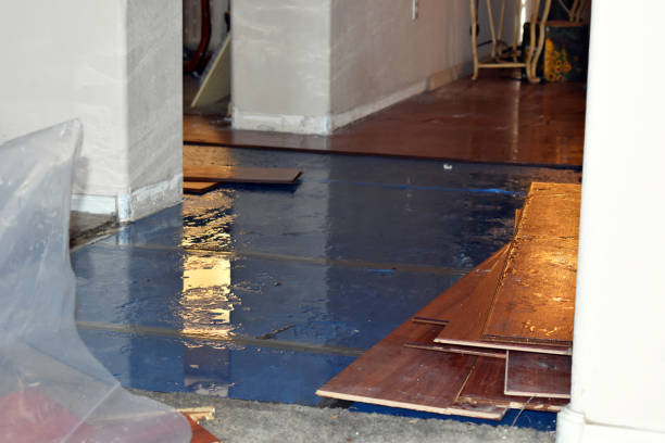 Professional Water Extraction technician working in Mountain, WI